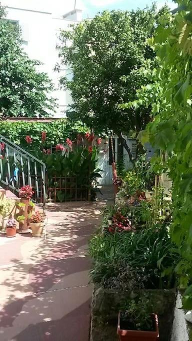 Dubrovnik Quiet Center Apartment Misur エクステリア 写真
